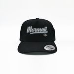 YMCAP311-999-1.jpg